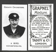 NOSTALGIA REPRINT TADDY & CO A.BIRD WORCESTERSHIRE COUNTY CRICKETERS