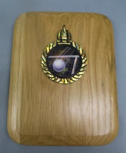 Volleyball Plakette 7x9 massive Eiche Auszeichnung Pokal vollfarbige Einlage - Bild 1 von 1