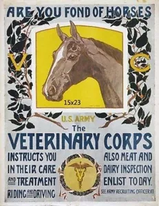 World War 1 Posters Print Veterinary Corps U.S. Army 16x20 WW1 Military Wall Art - Picture 1 of 5