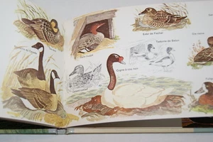 Canard-Cygnes-Oies,Bertel BRUUN,Illustre Leif RYDENG,1965 - Picture 1 of 1
