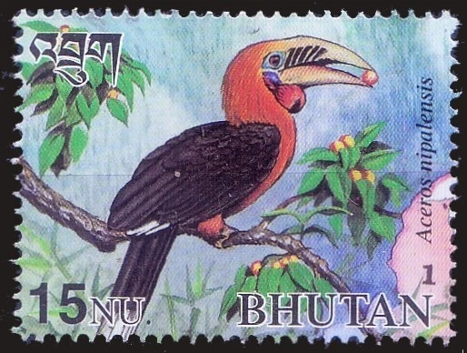 Bhutan 2001 MNH, Rufous- Necked Hornbill, Birds - Image 1 of 1