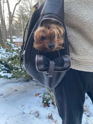 ¡Portador de mascotas de cuero de lujo Emre New York! *Estilo mensajero Foto 1 de 4