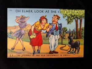 Vintage Postcard "Oh Elmer, Look At The Cute Little Ass!" Pun Humor Curt Teich  - Picture 1 of 4