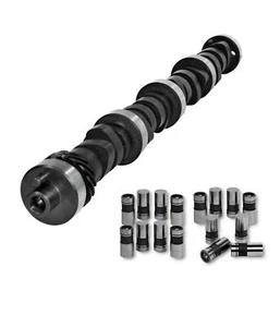 Chevy 454 7.4L 'N' Fits 1994 - 1997 Stock CAMSHAFT and LIFTERS - Picture 1 of 1
