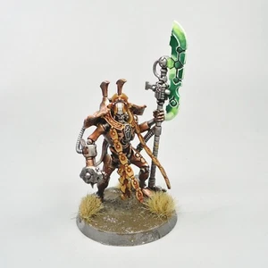 Warhammer 40k Army Necrons Necron Overlord Painted and Based - Picture 1 of 5