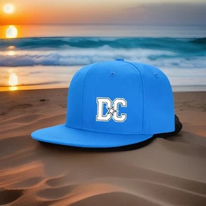 Adult Skateboard Hat With DC Logo Light Blue Cap Adjustable 🧢 - Picture 1 of 2