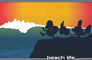 *BRAND NEW* POKEMON - BEACH STYLE TRENDS POSTER 22.375"x34" - Picture 1 of 1