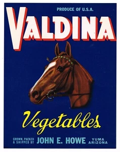 ETIQUETA DE CAJA ORIGINAL VINTAGE YUMA 1950 7X9 ARIZONA VALDINA HORSE HOWE RARA - Imagen 1 de 1