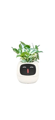 Interactive Smart Indoor Garden Planter App/Internet Control White - Изображение 1 из 4