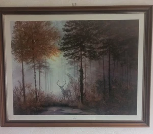 Quiet Forest Framed Print 90x70 By Gerald Coulson - Picture 1 of 3