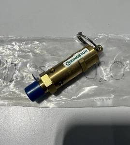 KINGSTON VALVE 112CSS-2-020 Brass Relief Valve 1/4" NPT 20 PSI *NEW* - Picture 1 of 3