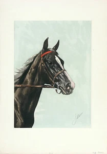 Remache FIRMADO JEAN-MARIE De Colección c.1938 ""Grabado policromado"" Retrato de Caballo MARRÓN BAHÍA - Imagen 1 de 1