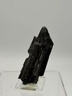 Black Tourmaline Plant Schorl - Cardeñosa Spain Mineral 9X3x3cms