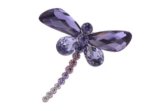 Libelle Käfer Kristall Glanz Amethyst Brosche Anstecknadel 3 Farben - Bild 1 von 19