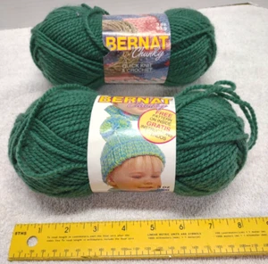 Bernat Quick & Easy Acrylic Yarn 2 Skeins Green #6535 Chunky Each 3oz/85grams - Picture 1 of 5