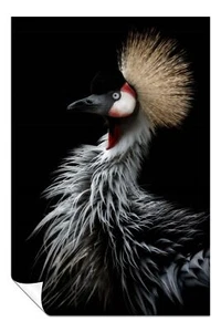 Grey Crowned Crane's portrait Artistic Poster Wall Art Home Decor - Picture 1 of 4