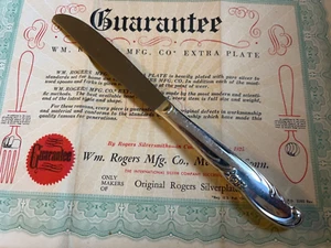 Vintage Dinner Knife ALLURE TEATIME Wm Rogers Extra Plate Silverplate - Picture 1 of 1