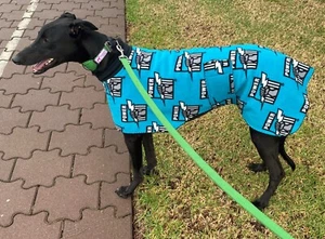 Greyhound AFL Coat 70 - 80cm Double Fleece & collar - Message Team at Checkout - Picture 1 of 17