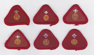 1970-2000 British/Uk Scouts - Insignia de competencia de deportista Cub Scout (6 Var) - Imagen 1 de 2