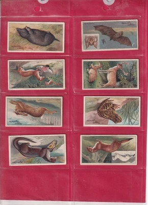 PLAYER'S - NATURE SERIES - 1909 - 8 CARDS - HIGH NUMBERS - Image 1 of 2