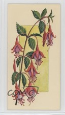 1977 Carreras Craven Black Cat Flowers All the Year Round Tobacco #30 2p7