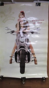 HARLEY DAVIDSON SALUTES MILITARY AMERICAN BOMBSHELL MOTORCYCLE PIN-UP POSTER - Picture 1 of 13