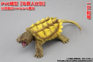Figura de acción Coligator Snapper para 1/6a escala 12" 1:6 tortuga Xuanwu bestia divina - Imagen 1 de 2