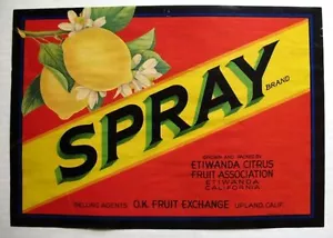 Rara etichetta cassa limone spray anni '30 Etiwanda - Foto 1 di 1