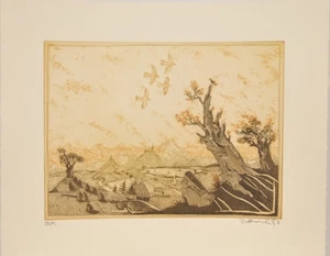 Simon Dittrich/Farbradierung/ e.a. Exemplar/ handsigniert /1980 - Bild 1 von 4