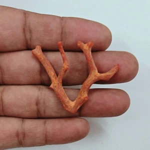 Red Coral Rough Loose Gemstone 100% Natural Italian Sea Coral Rough Coral Branch - Picture 1 of 11