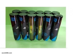 Wilson 12er Pack Röhren mit 4 Bällen Tour Premier All Court - Bild 1 von 1
