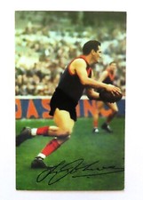 1966 MOBIL VFL Footy Photo:  TASSIE  JOHNSON  (Melbourne)  #24 ....  N/MINT