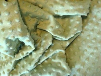 SAGE GREEN MINKY CUDDLE DIMPLE DOT FELPA COSER EDREDÓN TELA ARTESANAL POR Y PRECORTADOS Foto 1 de 2