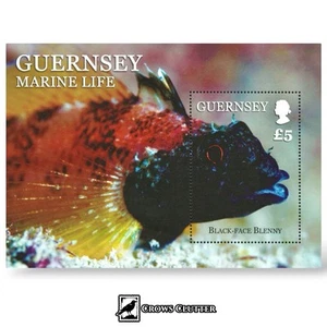 Guernsey 2013 UK Marine Life Stamp Mini Sheet MLH ‘Black-Face Blenny’ Fish - Picture 1 of 1