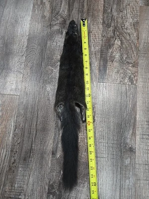 Piel de ardilla de zorro negro pelo de piel taxidermia pesca con mosca atar material de doblaje Foto 1 de 4