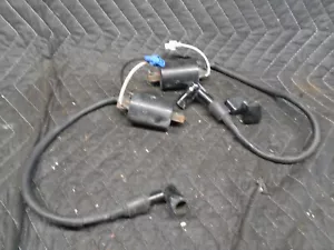 2013 POLARIS PRO RMK 800 IGNITION COILS - MAG AND PTO 4014009 - Picture 1 of 6