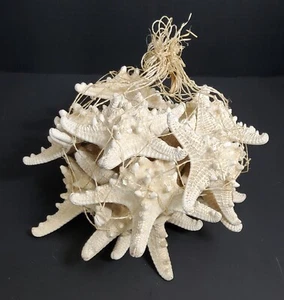 SEESTERN 10 STÜCK IM NETZBEUTEL 5 ZOLL DURCHMESSER ZUM DEKORIEREN ODER BASTELN - Bild 1 von 2