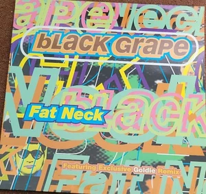 Black Grape. Fat Neck 12" Single - Picture 1 of 3