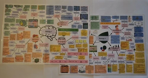 AQA GCSE Combined Science Trilogy Revision Mind Maps Laminated A3  - Image 1 of 4