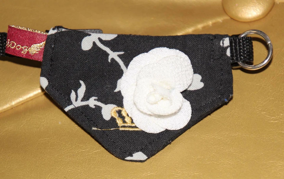 9969_Angeldog_Hundekleidung_Hundehalstuch_Halsband mit Tuch_chihuahua_XXS / XS K - Bild 1 von 1