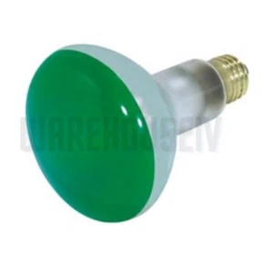 Sylvania 65BR30/G/RP (15152), Green BR30 Floodlight bulb 65W - New - Picture 1 of 1