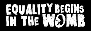 Pegatina de parachoques Equality Begins in the Womb Grunge Pro-Life Foto 1 de 1