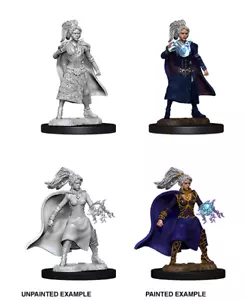 Le meravigliose miniature non dipinte di D&D Nolzur - W10 donna canaglia - Foto 1 di 1