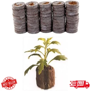 50 Count - Jiffy 7 Peat Pellets - Seed Starter Soil Plugs - 36 Mm - Start Seedli - Picture 1 of 12