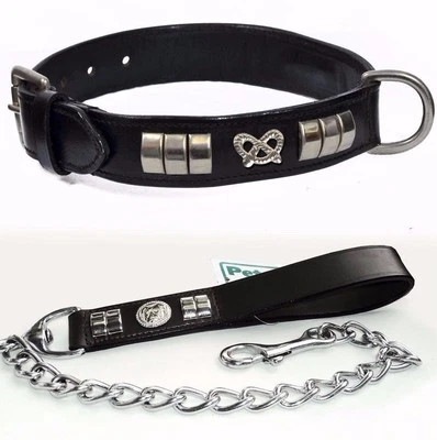 Staffordshire Bull Terrier Leather Dog Collar And Chain Lead Black Knot Chrome - Image 1 of 4