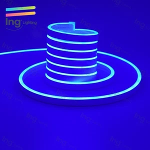 Blue 110V Outdoor Neon Light Strip Christmas Roof Line Light Waterproof Flexible - Picture 1 of 18