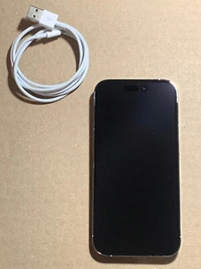 Apple iPhone 14 Pro - 256GB - Silver Unlocked A2650 (CDMA + GSM) - Picture 1 of 11