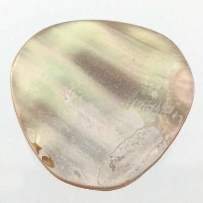 Carved MOP Mother-Of-Pearl Garment Button 1in Relief Pattern 767C - Image 1 of 4