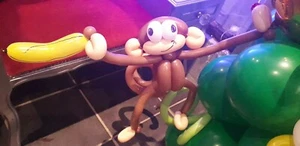 ☆Gemischte Luftballons☆Dschungel☆Safari ☆Deko☆Party im Karton☆ - Bild 1 von 5