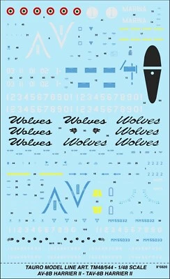 TAURO MODEL TM48/544 AV-8B/TAV-8B MARINA MILITARE ITALIANA, INSEGNE/CODICI 1:48 - Immagine 1 di 4
